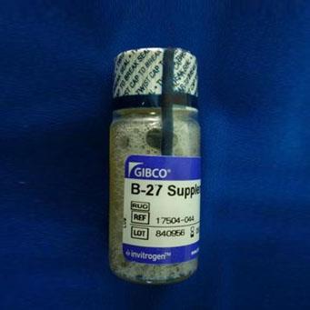 GIBCO B-27無(wú)血清添加劑